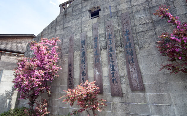 霧島町蒸留所 白麹