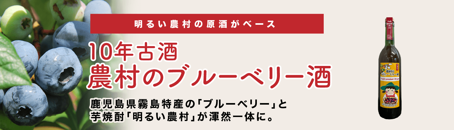 10年古酒　農村のブルーベリー酒　title